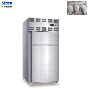 ตู้แช่แข็งแบบรถเข็นประตูเดียวสำหรับเชิงพาณิชย์ 15 ถาด ระบบฟรอสต์ฟรี สำหรับอาหาร เครื่องดื่ม ธัญพืช ผลิตภัณฑ์อุตสาหกรรม เครื่องจักร - Product Image 3