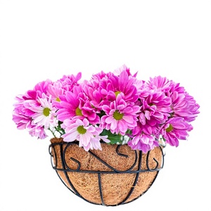 กระเช้าแขวนผนังสำหรับปลูกต้นไม้ Sunbelt Natural Coco Coir & Metal รับน้ำหนักได้ 20 กก. - Product Image 2