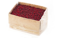 Iqf Bevroren Rode Bosbessen Premium Diepvriesfruit Voor Heerlijke En Voedzame Recepten Oem/Groothandelsdiensten