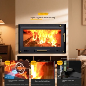 Innovadora Estufa de Leña con Fuego Real en una <span class=keywords><strong>Chimenea</strong></span> de Hierro Fundido, Eficiente y Moderna para Calefacción del Hogar - Product Image 2