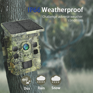4K Solarbetriebene WLAN-Wildkamera mit IR-Technologie für die Jagd - Product Image 4