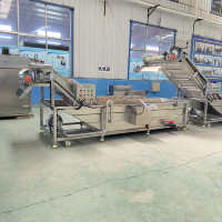 Automatische Draak Fruit En Groente Bubble Type Borstel Wasmachine Met Bubbels Voor Boerderijen