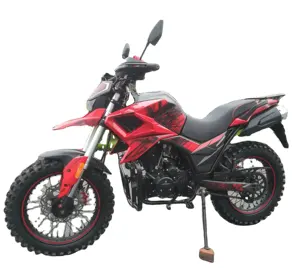 Chinese motorcycle supplier FUEGO motorcycle manufacturer new TEKKEN 250CC 11190129