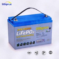 Batterie de chariot élévateur LiFePO4 de haute qualité 24V 100AH pour transpalette, haute capacité, CE RoHS UL FCC IP67, personnalisable OEM ODM, longue durée de vie