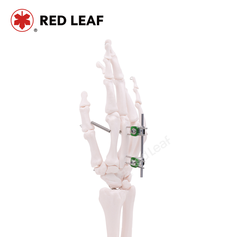 Hospital Grade Medical Instrument Pelvic External