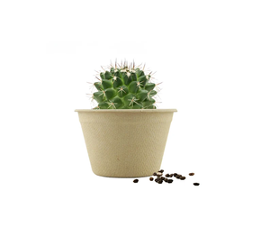 Kit de Cultivo de Hierbas y <span class=keywords><strong>Cactus</strong></span> para Interiores, Kit de Inicio de Cultivo de Hierbas con Maceta Biodegradable, Kit de Jardín Interior - Product Image 6