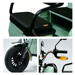 Triciclo Eléctrico DVIP de 60V, Tuk Tuk de <span class=keywords><strong>Tres</strong></span> <span class=keywords><strong>Ruedas</strong></span> para Adultos, Diseño <span class=keywords><strong>Plegable</strong></span>, Carrocería Abierta, Uso para Pasajeros, Potencia de 251-350W, Color Personalizado - Product Image 3