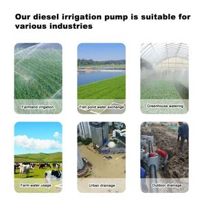Pompe d'irrigation centrifuge à flux mixte diesel pour usage agricole, haute pression personnalisée, certifiée CE, garantie 2 ans - Product Image 4