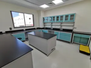 University Laboratory Furniture Chemistry Work Bench Wall Bench Lab Furniture For School