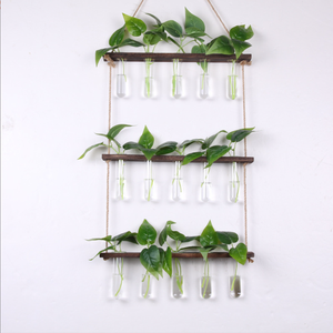 Cadre en bois de Style nordique Ins verrerie murale suspendue Test hydroponique fleur Tube Vase <span class=keywords><strong>pour</strong></span> salle de bain salon Vintage - Product Image 6