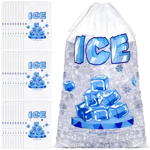 定制印刷食品级聚乙烯透明8 10 15磅带拉绳的塑料冰袋