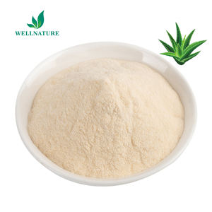 バルク化粧品グレードアロエベラエキスパウダーアロエベラゲル凍結乾燥粉末アロエベラゲルスプレー乾燥粉末 - Product Image 2