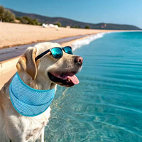 Bandana Rafraîchissant pour Animaux Prêt à Expédier – Écharpe de Cou PVA pour Soulager la Chaleur Estivale pour Chiens et Chats – Accessoire Rafraîchissant pour Animaux d'Extérieur