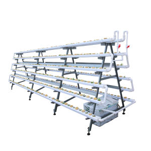 Di grandi dimensioni idroponica sistema per crescere le piante a foglia verde - Product Image 1