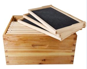 <span class=keywords><strong>Langstroth</strong></span> Beehive Kit Bee Hives para cajas de <span class=keywords><strong>colmenas</strong></span> de abejas 10 marcos - Product Image 2