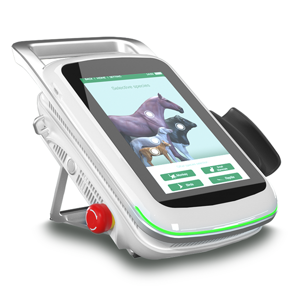 Veterinary Class 4 Laser Therapy Equipment for Post-Operative Healing and Wound Recovery in Animals
