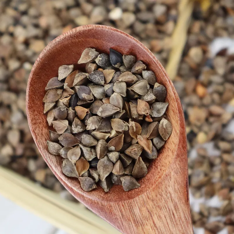 Grano saraceno mondato all'ingrosso/grano di grano saraceno biologico/semi di grano saraceno