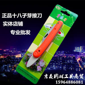 Cuchillo de injerto para niños, de acero inoxidable, hoja fija, mango de plástico naranja, borde recto, herramienta de jardinería - Product Image 3