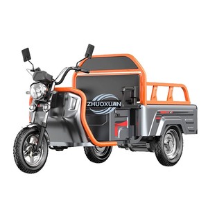 Triciclo Eléctrico de Estructura Ligera para Desplazamientos, Conducción Segura, Carro de Transporte de Gran Capacidad - Product Image 2