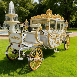 Carruaje eléctrico de lujo blanco estilo real con patrón dorado en relieve para transporte en fiestas de vacaciones en villas y ranchos grandes - Product Image 5