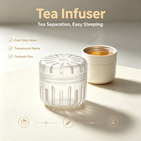 Infusor de Chá em Plástico Tritan, Compacto e Leve, com Tampa à Prova de Vazamentos, Reutilizável e Ecológico para Cozinha
