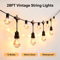 Guirlande lumineuse LED vintage de 28 pieds, 13 ampoules en verre transparent, lumière blanc chaud, étanche IP65, fil noir, dimmable, décoration pour patio et jardin