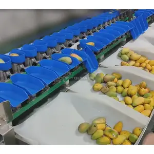 Mangostano macchina per la classificazione della frutta macchina per lo smistamento del peso del nastro trasportatore macchina per lo smistamento del Mango