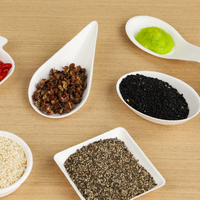 Warmpack Plat à sauce en bagasse compostable et jetable pour condiments, vente en gros