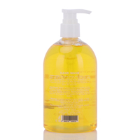 Savon liquide pour les mains antibactérien et bactériostatique pour femmes en famille, 500 ml, vente en gros