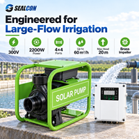 Pompe à eau solaire CC sans balais 3 CV, débit max. 60 m³/h, hauteur de refoulement 20 m, 300 V, alimentée par énergie solaire, pour irrigation au sol, personnalisable pour l'irrigation agricole