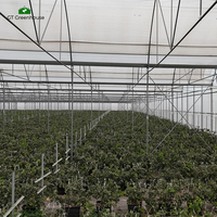 Serre agricole multi-chapelles à grande échelle en film plastique GT pour la culture des cultures