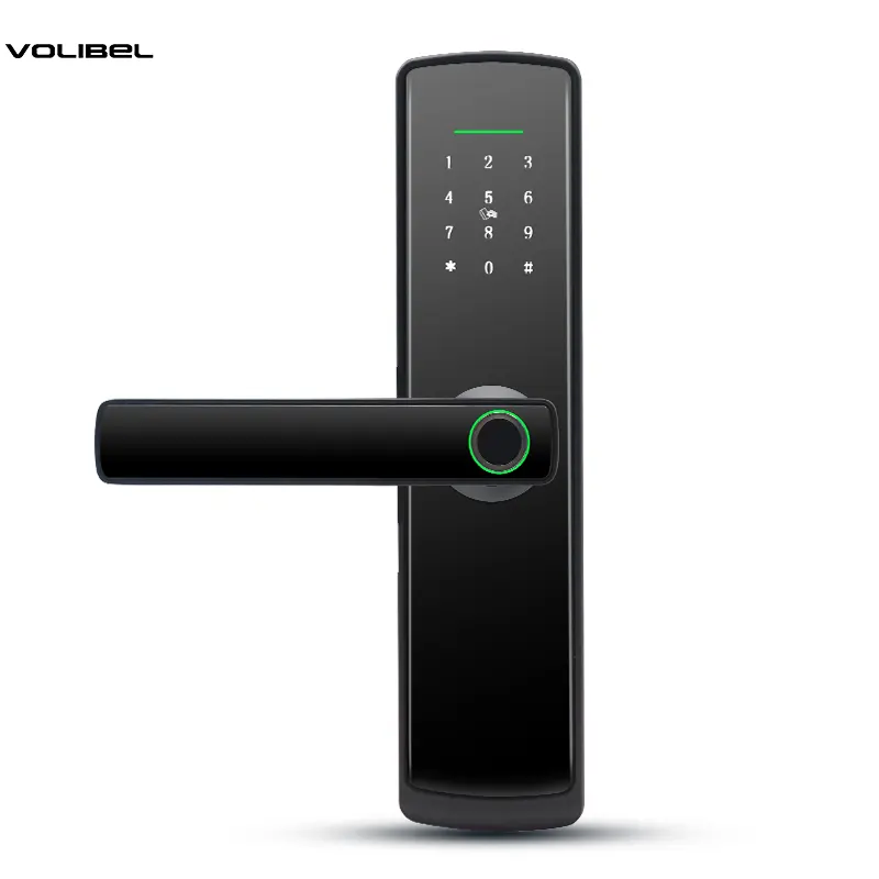 High Tech Biometric Fingerprint Keypad Door Locks Intelligent WiFi App Control Commercial Smart Door Lock for Home Security