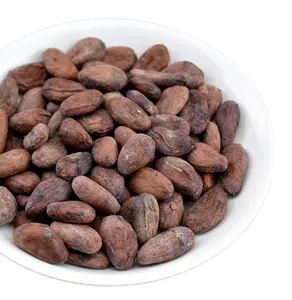 Vente en gros, bon prix, nouveaux grains de cacao séchés crus