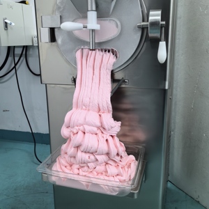 Machine à crème glacée économique et performante avec pièces en acier inoxydable pour des glaces dures et des saveurs de fruits cohérentes. - Product Image 2
