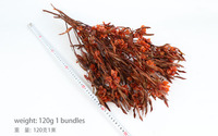 Groothandel Gedroogde Viooltjes Bloemen Natuurlijk Kleurrijk Handgemaakt voor Feestdecoratie Eeuwigdurend Bulk Premium OEM ODM