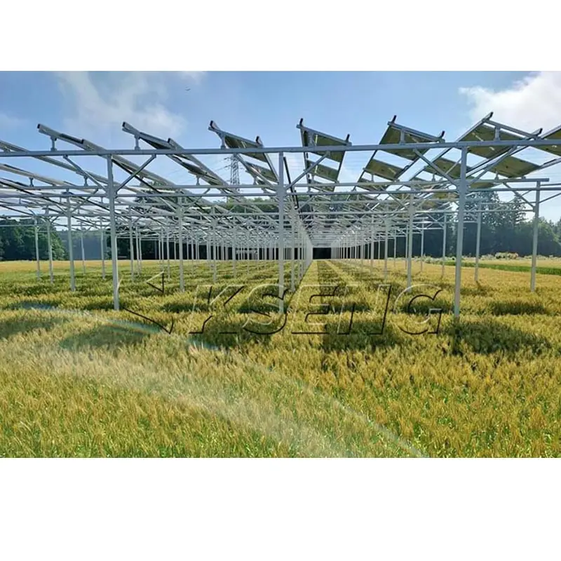 Kseng 10MW Installation au sol d'une ferme solaire Centrale électrique agrivoltaïque Système de montage d'une ferme solaire