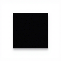 Panneau en fibre de polyester carré noir moderne Amoriya, épaisseur 14 mm, classe d'incendie V0, isolation acoustique 29 décibels, surface thermolaquée