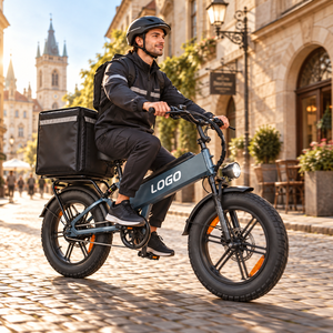 Bicicleta Eléctrica OEM D40 de Carga Pesada, 750W, 48V40AH, Capacidad de 200kg, Neumático 20x4.0, Venta Directa al por Mayor para Repartidores de Comida - Product Image 1