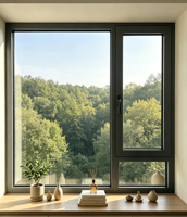 Ventana de Aluminio Económica Directo de Fábrica con Apertura Fija, Diseño Horizontal, Estilo Minimalista, Función Insonorizante