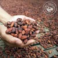Vente en gros d'excellente qualité 65% 70% pépites de chocolat noir cacao cacao cacao pièces de monnaie du Pérou