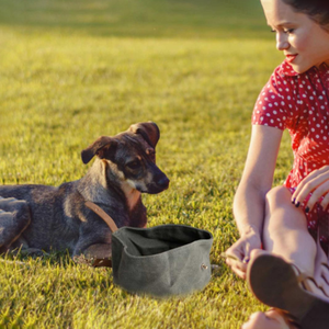 Waterproof Waxed Canvas <strong>Dog</strong> <strong>Food</strong> Bowl Collapsible Travel Puppy Treat Bowl Outdoor Portable Pet <strong>Food</strong> Water <strong>Container</strong> Pocket - Product Image 3