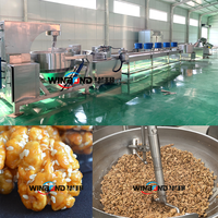 Machine de caramélisation de noix d'amandes d'arachide commerciale à haute efficacité Machines de traitement de noix de noix