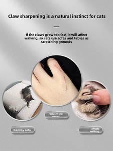 Moderno classico interattivo per gatti arrampicata su parete mobili in legno Sisal tiragraffi di iuta per la maggior parte dei gatti gattini - Product Image 3