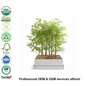 Dawn Red Wood Bonsai Forest Tree Starter Kit Original Design Bonsai Wire Set Plant Grow Pot Garden Home Bent Processing <span class=keywords><strong>Service</strong></span> - Product Image 4