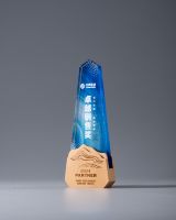 Nouveau trophée créatif en forme de cristal étoilé coloré, personnalisé, écologique, gravé au laser, modèle HDY A0517, excellent trophée