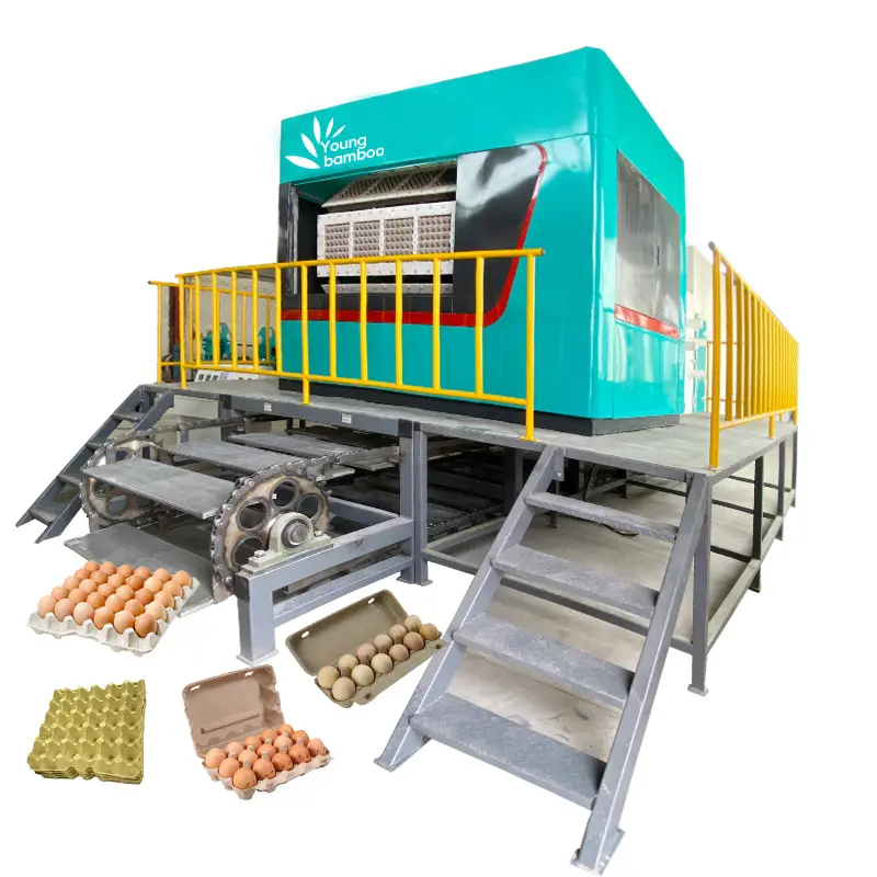 Young Bamboo Pulp Molding Machine Paper Pulp Egg Tray Making Machine Egg Tray Making Machine Paper