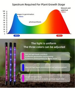 Luz LED de Crecimiento para Plantas de Interior con Carga USB, Jardín Inteligente, Multi-Cabezal Ajustable, Espectro Completo, 3 Modos, Rojo y Azul, con Clip - Product Image 3