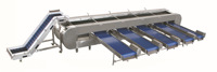 Rolsorteermachine Apple Mango Oranje Diverse Fruit Sorteermachine Fruit En Groente Verwerking Speciale Sorteermachine
