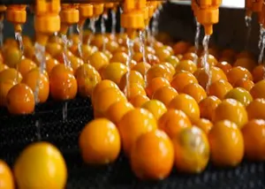 Volle Produktions linie Fruchtsaft Maschinen Orange Zitrone Apfelsaft Industrie Orangensaft presse