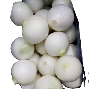 High Quality <strong>Onion</strong> <strong>Seed</strong> F1 Hybrid of Planting Fresh <strong>Spring</strong> White <strong>Onion</strong> Granul in China - Product Image 1